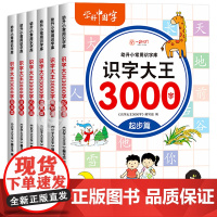 升级版识字大王3000字全套6册 识字书幼儿认字启蒙早教书籍学前班识字卡片一年级儿童绘本幼小衔接教材幼儿园学汉字神器写好