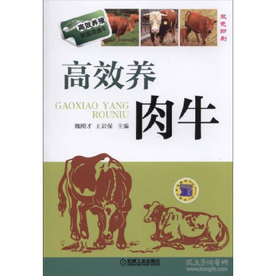 正版新书]高效养肉牛主编魏刚才,王岩保9787111483755