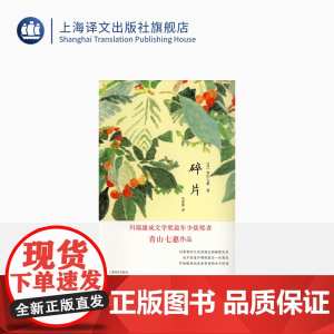 碎片 [日]青山七惠 著 竺家荣 译 青山七惠作品系列 青山七惠代表作 获川端康成文学奖 短篇小说集 上海译文出版社 正