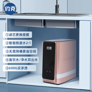 YORK约克 600G 家用净水机RO反渗透水器过滤器净水器厨下式 RO滤芯 YK-RO-600(A)金