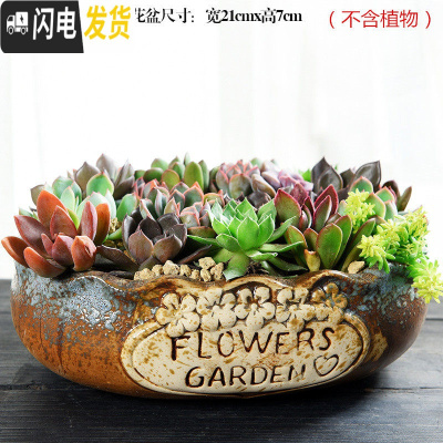 三维工匠大口径拼盘多肉花盆大号创意个性陶瓷简约粗陶多肉植物小花盆 拼盘-花边灰(带孔) 大花盆容器