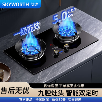 创维(Skyworth)灶具燃气灶双灶 双九孔5.0kW聚能定时猛火爆炒 家用台式嵌入式钢玻面板 Z213B液化气
