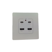 智铮朗月 墙壁插座 2位USB+2位TPYE-C 个