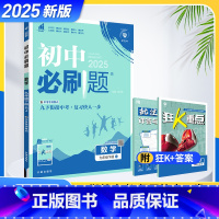 数学(人教版) 九年级下 [正版]2025初中必刷题九年级下册数学人教版 初三下册数学RJ九下数学BS必刷题同步训练复习