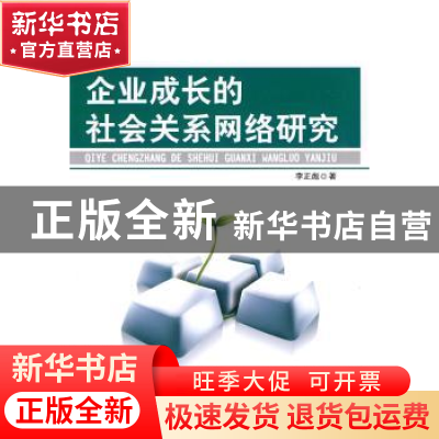 正版 企业成长的社会关系网络研究 李正彪著 人民出版社 97870100