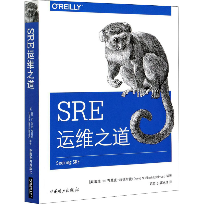 音像SRE运维之道[美]戴维·N.布兰克-埃德尔曼,胡志飞,蒋永清