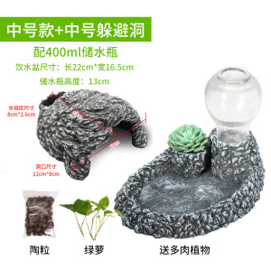 陆龟水盆泡澡喝水乌龟喂食盆爬虫缘爬宠喂水蜥蜴用品