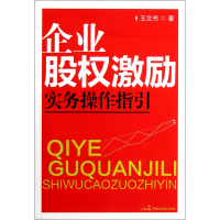 音像企业股权激励实务操作指引王文书