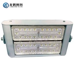 龙腾图智 LED投光灯 LT507-2-120