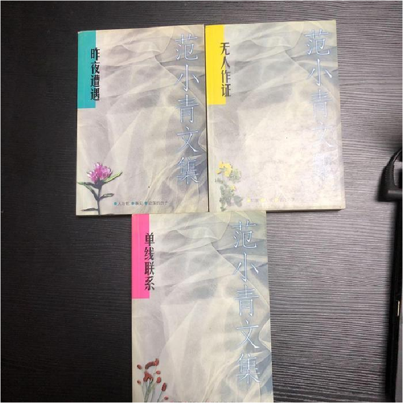 正版新书]范小青文集(共3册)范小青著9787539910918