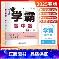 2025春[八年级下数学]人教版 [正版]2025春学霸题中题八年级下册数学人教版RJ8年级数学下同步课时作业专题提优训