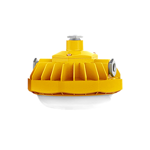 凯瑞CARY LED防爆泛光灯 KLE1012-24W