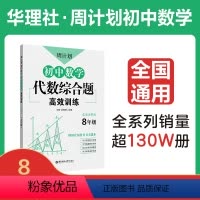 [正版]周计划:初中数学代数综合题高效训练(8年级)
