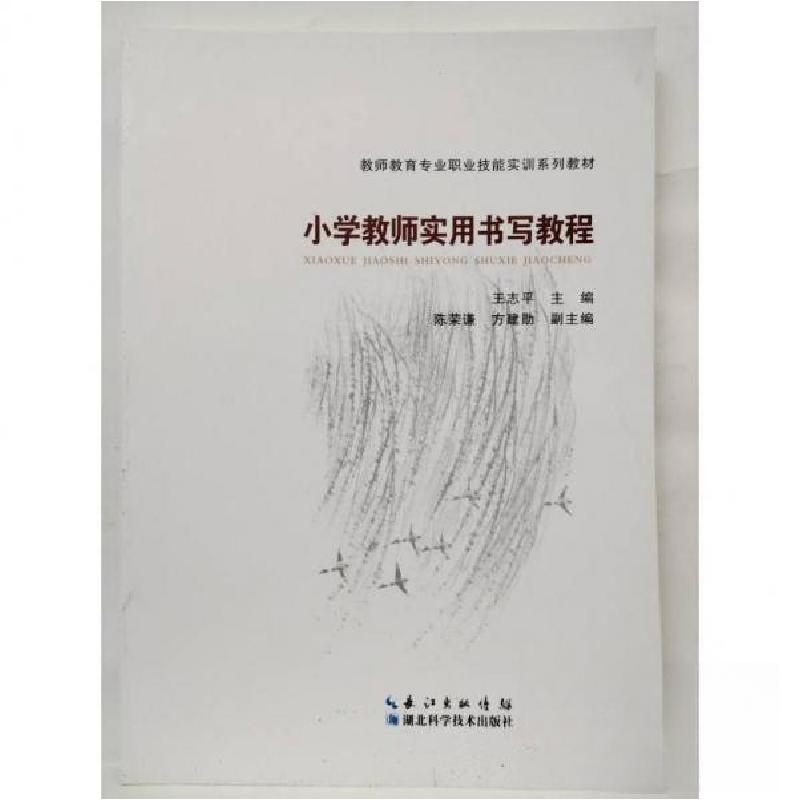正版新书]小学教师实用书写教程[王志平 著]9787535289551