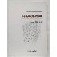 正版新书]小学教师实用书写教程[王志平 著]9787535289551