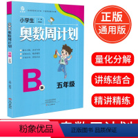 数学 [正版]2020新版小学生奥数周计划B版五年级下册通用版本 数学思维训练教程奥赛竞赛小学生5年级辅导资料练习