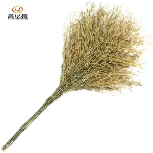 晨以橙 户外环卫大扫把 高1.8米 把