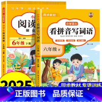 [六年级下册]看拼音写词语+阅读理解 小学六年级 [正版]看拼音写词语六年级下册 语文小学注音生字拼音拼读字词6年级上汉