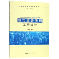 音像城市道路照明工程设计/城市照明工程系列丛书李铁楠