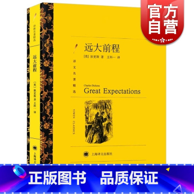 [正版]远大前程 狄更斯译文名著精选王科一译世界文学名著中文版外国文学小说书籍外国名著书籍 上海译文出版社