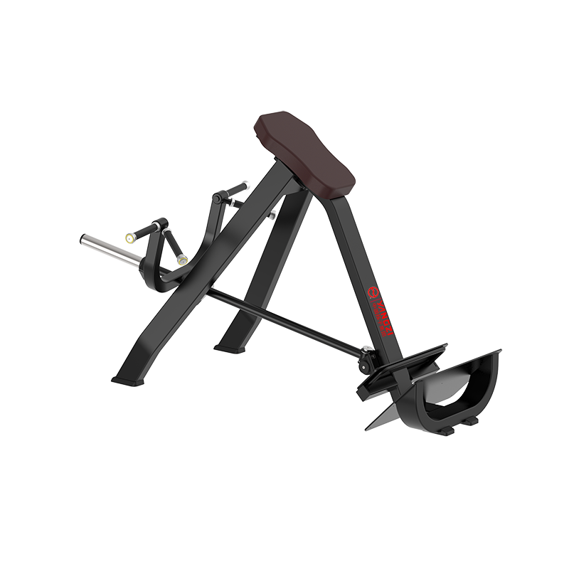 扬子(YANGZI)T型划船机YZ-TB61