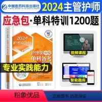 [正版]专业实践能力单科特训1200题主管护师2024年护理学中级习题集密押题库网课可以搭配丁人卫版轻松过随身记军医历