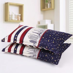 枕头套一对秋冬单个单人成号加厚枕套枕头皮磨毛