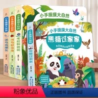 小手摸摸大自然套装[加厚版4册] [正版]QHL小手摸摸大自然触摸书全4册 婴儿书早教绘本宝宝1岁半立体书幼儿启蒙不烂触