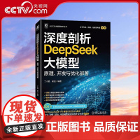 [央视网] 深度剖析DEEPSEEK大模型 原理开发与优化部署 丁小晶 崔远 机械工业出版社 大量硬核技术干货 实战案例