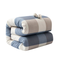 历途科技 棉褥子 1.2*2.0m 床