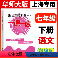 [正版]2024一课一练七年级下语文华东师大版一课一练七下语文7年级下第二学期上海初中初一语文练习册沪教版七年级下册语