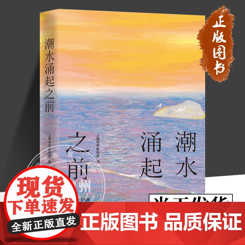 潮水涌起之前 上海市作家协会 正版 短篇小说集/故事集 上海文艺出版社 赵松 哥舒意 糖匪 郭爽 小饭 摩登多元的