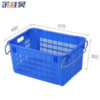 金桂昊 塑料筐 铁耳B 个