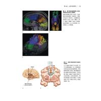 认知神经科学 : 关于心智的生物学 : 原著第五版