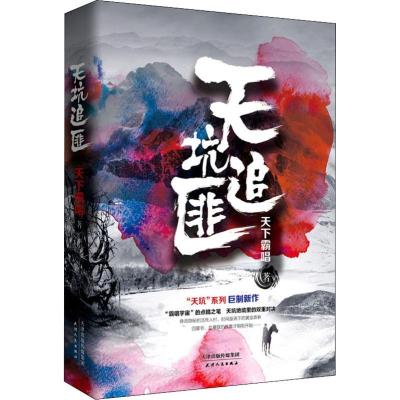 正版新书]天坑追匪天下霸唱9787201141732