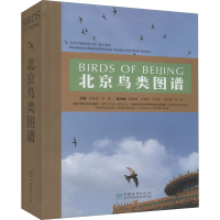 音像北京鸟类图谱朱雷编;赵欣如、朱雷叶红刘明赵敏