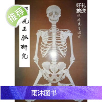 正版 禅观正脉研究 南怀瑾 老古