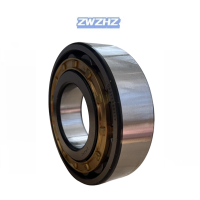 ZWZHZ圆柱滚子轴承 N309