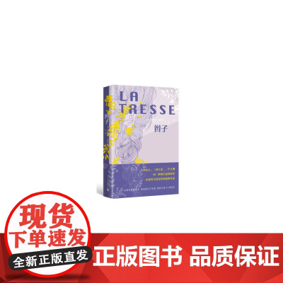 辫子 莱蒂西娅·科隆巴尼 人民文学出版社 正版书籍