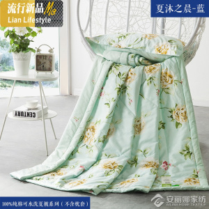 棉卡通夏被单双人空调被棉学生儿童可机水洗夏凉被夏天薄被子 三维工匠