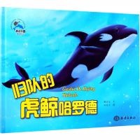 音像归队的虎鲸哈罗德糖朵朵