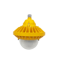 LHB8620 防爆平台灯 100W 6000K AC220V IP66 (计价单位:盏)黄色