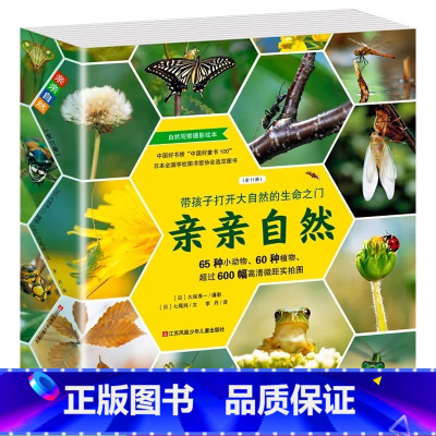 亲亲自然11册 [正版]亲亲自然系列全套11册 自然科学启蒙绘本图书3-6-12岁小学生一二三四年级课外阅读动物昆虫小百