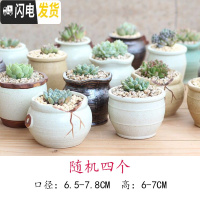 三维工匠麦饭石多肉花盆陶瓷手绘粗陶复古爆裂创意大老桩盆栽室内 乳白色清新小盆随机4个 中等花盆容器