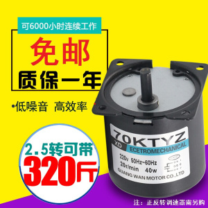 BONJEAN交流同步电机大力矩微型220电机马达40正反转齿轮永磁减机 20转/每分钟 电机+支架