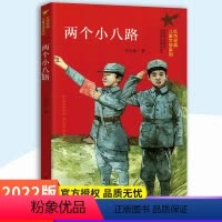 [正版]两个小八路/红色经典儿童文学系列 小学生课外阅读书籍爱国教育主题读物成长励志书籍三四五六年级课外书阅读 南京大