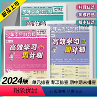[??优选3本套]语文人教+数学人教+英语人 三年级上 [正版]2024新版高效学习周计划少年素质教育报一二三四五六年级