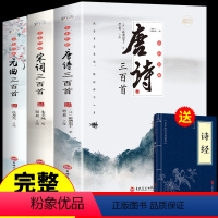 [正版]全3册 唐诗三百首唐诗宋词元曲全集古诗词大全集书全 高中生用鉴赏赏析诗词大会书籍全套 诗集古诗全唐诗宋诗300