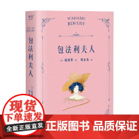 包法利夫人 附加码01 福楼拜 著 文学