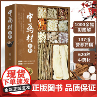 中药材百科中药材书籍大全 图解中草药材中药配方大全中药书籍大全中药材图谱 彩图处方调理中医养生书籍自学入门中草药材图鉴大